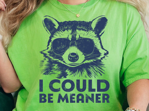 Funny Sarcastic Svg Funny Raccoon PNG I Could Be Meaner PNG Animal Sublimation Retro Raccoon Wearing Sunglasses SVG DesignDestine 