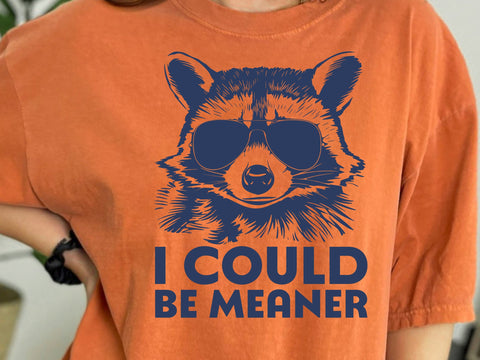 Funny Sarcastic Svg Funny Raccoon PNG I Could Be Meaner PNG Animal Sublimation Retro Raccoon Wearing Sunglasses SVG DesignDestine 