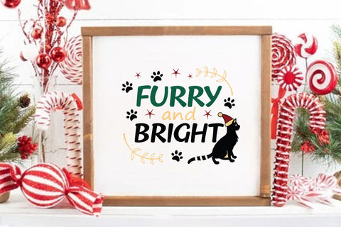 Furry And Bright SVG Angelina750 