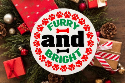 Furry and bright SVG Angelina750 