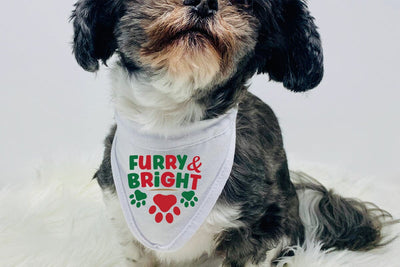 Furry & bright svg,Furry And Bright Dog Bandana, Christmas Pet Scarf, Christmas Holiday Dog Bandana, Cute Pet Xmas Neckwear, Snowy Puppy Scarf SVG BB Type Studios 