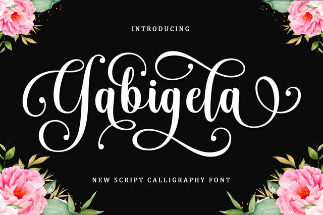 Gabigela Script Font Font BungStudio 