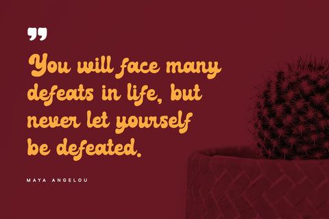 Galleon - Bold Script Font Alpaprana Studio 