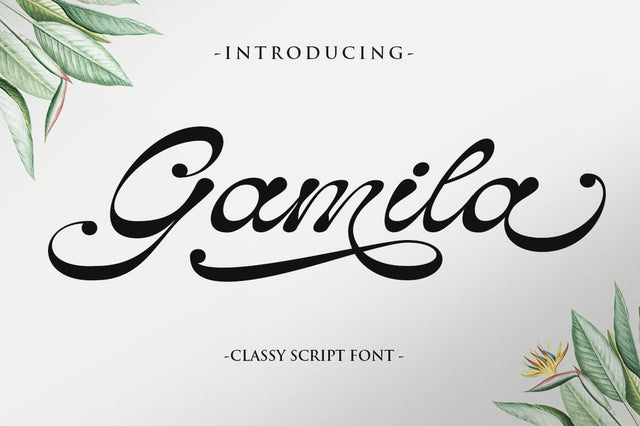 Gamila Font RomieStudio 