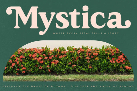 Garden Rostera - Modern Vintage Serif Font Letterena Studios 