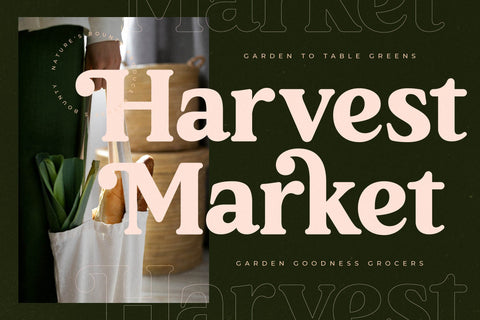Garden Rostera - Modern Vintage Serif Font Letterena Studios 