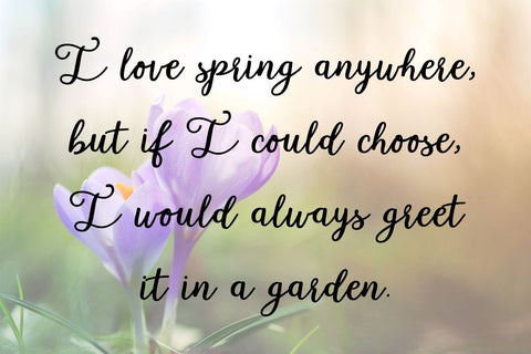 Garden Whimsy Font Misti's Fonts 