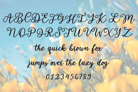 Garden Whimsy Font Misti's Fonts 