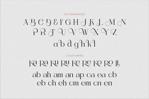 Gealova Font Storytype Studio 