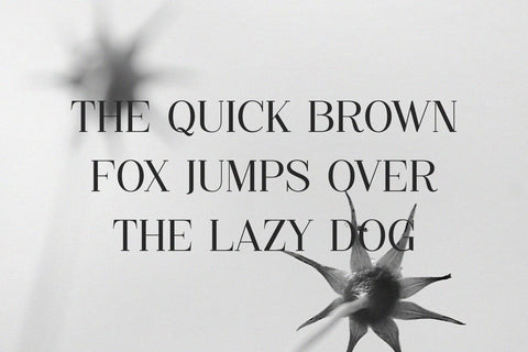 Gelang - Stylish & Modern Serif Font Font studioalmeera 