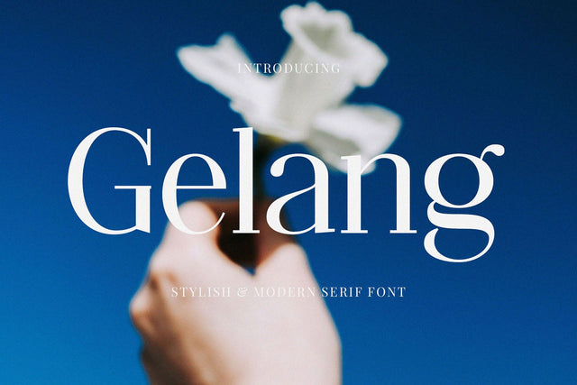 Gelang - Stylish & Modern Serif Font Font studioalmeera 