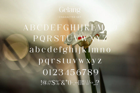 Gelang - Stylish & Modern Serif Font Font studioalmeera 