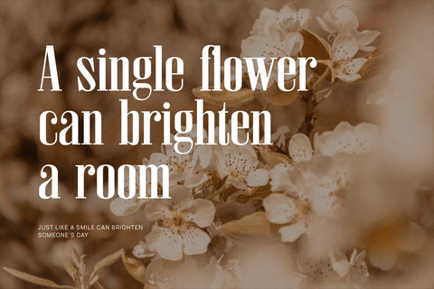 Gelatacos - Classy & Stylish Serif Font studioalmeera 