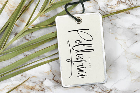 Gella Romane - Modern Handwritten Font Letterena Studios 