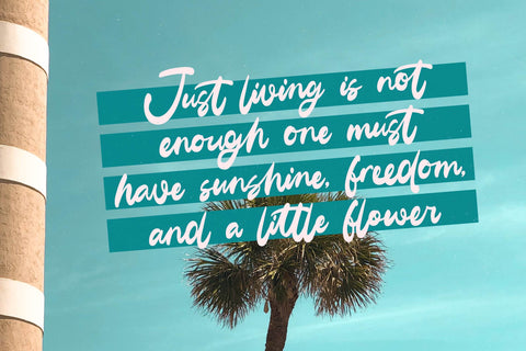 Gelmake Clencha - Bold Calligraphy Font Font Letterena Studios 