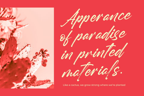 Gently Milarea - Modern Brush Font Font Letterena Studios 