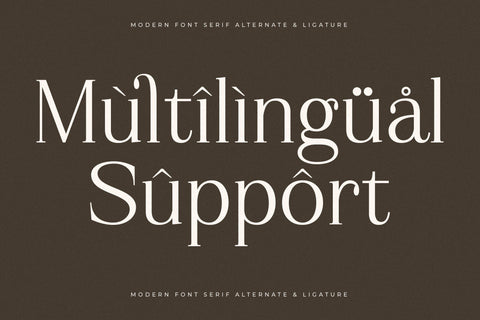 Gerislan - Modern Font Serif Font Storytype Studio 