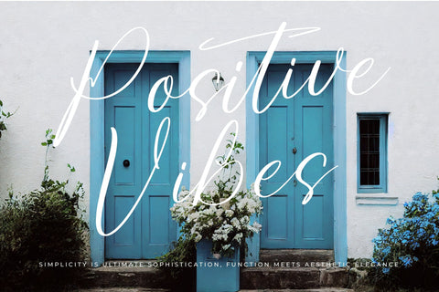 Gestae Ardentia - Modern Handwritten Font Letterena Studios 