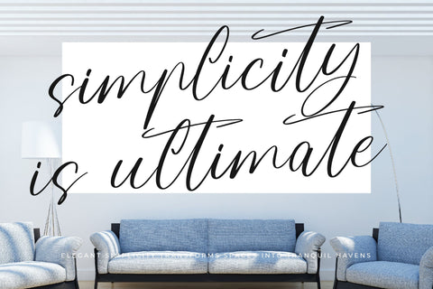 Gestae Ardentia - Modern Handwritten Font Letterena Studios 