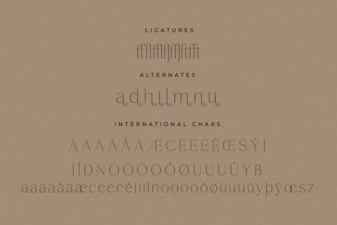 Gestiva - Elegant Modern Serif Font Storytype Studio 