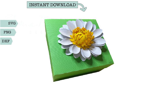 Gift Box-Daisy SVG Sharia Morton Designs 