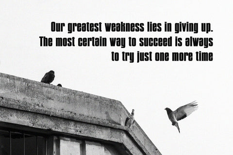 Gikaline - Bold Condensed Sans Serif Font studioalmeera 