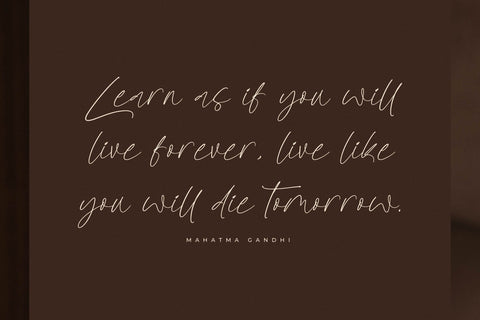 Gilberons Knighten - Elegant Signature Script Font Letterena Studios 