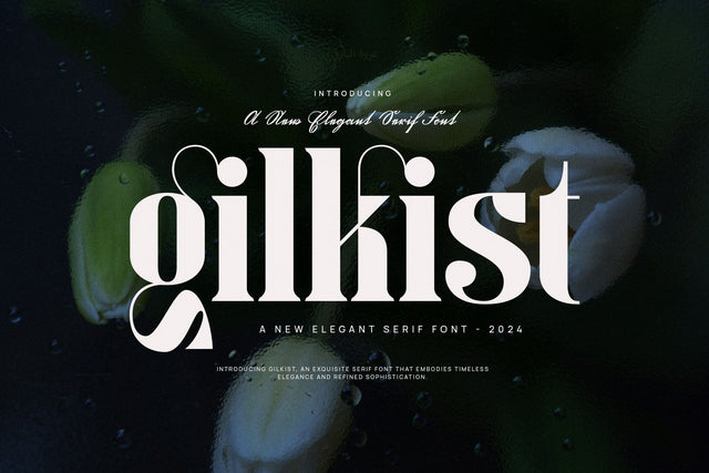 Gilkist - Elegant Serif Font Font studioalmeera 