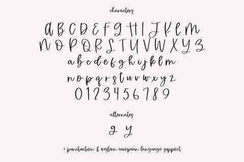 Gingerblush Script Font Beck McCormick 