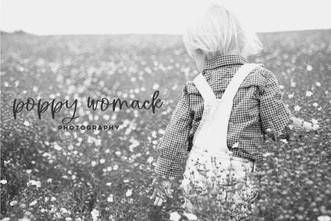 Gingerblush Script Font Beck McCormick 