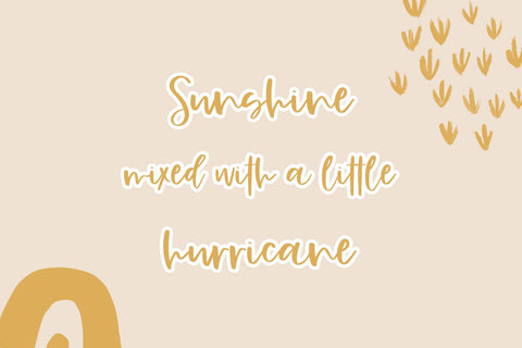 Gingersnap Script Font Font Beck McCormick 