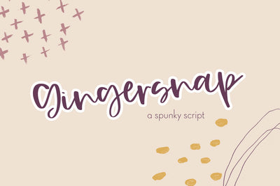Gingersnap Script Font Font Beck McCormick 