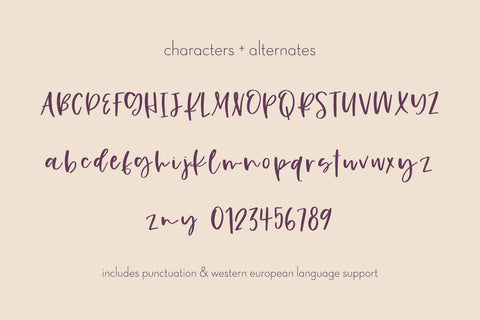 Gingersnap Script Font Font Beck McCormick 