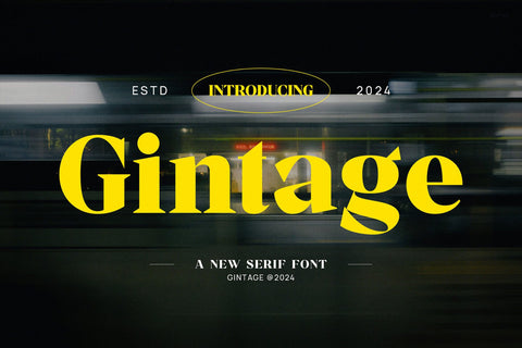 Gintage - Modern Display Serif Font studioalmeera 