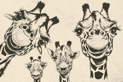 Giraffe SVG, Africa, Safari Animal, Wild life, funny Giraffes, Head, Face, Neck, Peeking SVG DesignDestine 