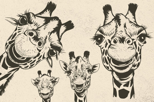 Giraffe SVG, Africa, Safari Animal, Wild life, funny Giraffes, Head, Face, Neck, Peeking SVG DesignDestine 