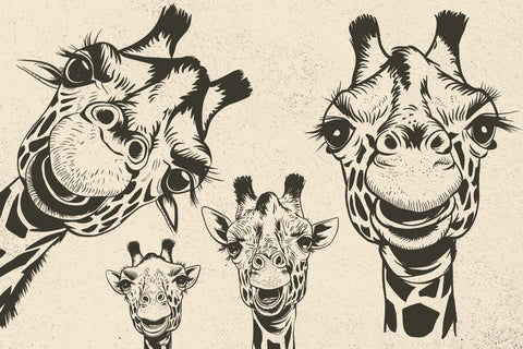 Giraffe SVG, Africa, Safari Animal, Wild life, funny Giraffes, Head, Face, Neck, Peeking SVG DesignDestine 