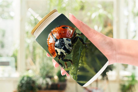 Glass Can Wrap Ladybug on grass Sublimation artnoy 