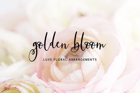 Glideaway Script Font Beck McCormick 