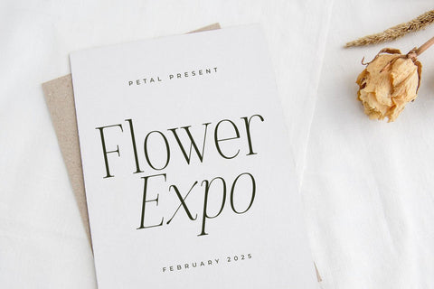 Golastika - Modern Serif Font Font Letterena Studios 