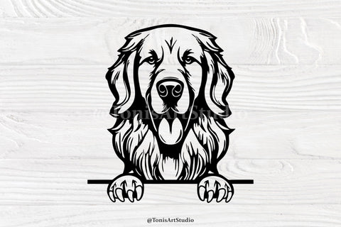 Golden Retriever Svg, Peeking Dog Svg, Dog Monogram, Retriever Svg Cut Files SVG TonisArtStudio 