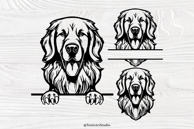 Golden Retriever Svg, Peeking Dog Svg, Dog Monogram, Retriever Svg Cut Files SVG TonisArtStudio 