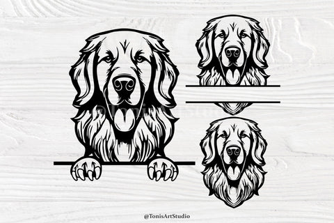 Golden Retriever Svg, Peeking Dog Svg, Dog Monogram, Retriever Svg Cut Files SVG TonisArtStudio 