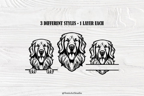 Golden Retriever Svg, Peeking Dog Svg, Dog Monogram, Retriever Svg Cut Files SVG TonisArtStudio 