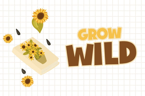 Goldy Burst Font Dm Letter Studio 