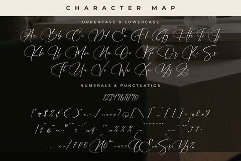 Gomethina - Modern Calligraphy Font Font Letterena Studios 