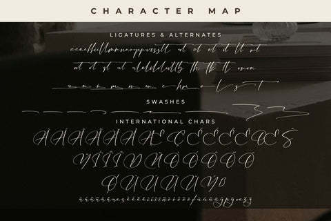 Gomethina - Modern Calligraphy Font Font Letterena Studios 