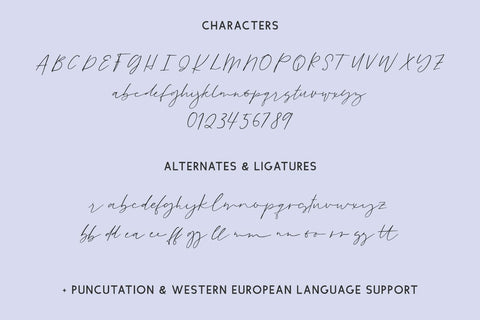 Goodspring Script Font Beck McCormick 