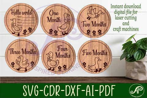 Goose themed Baby monthly milestone discs SVG laser engraved SVG APInspireddesigns 