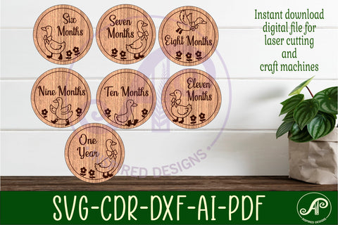 Goose themed Baby monthly milestone discs SVG laser engraved SVG APInspireddesigns 